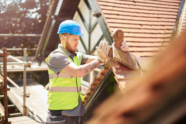 Best Roof Gutter Cleaning  in Sikeston, MO